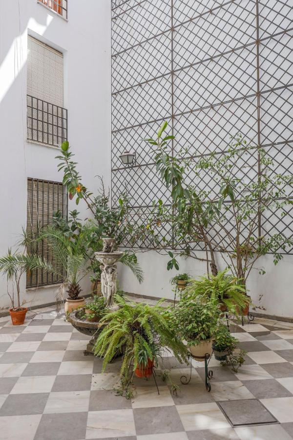 Fantastico Duplex 2 Terrazas 3 Habitaciones 2 Banos Sevilla Kültér fotó